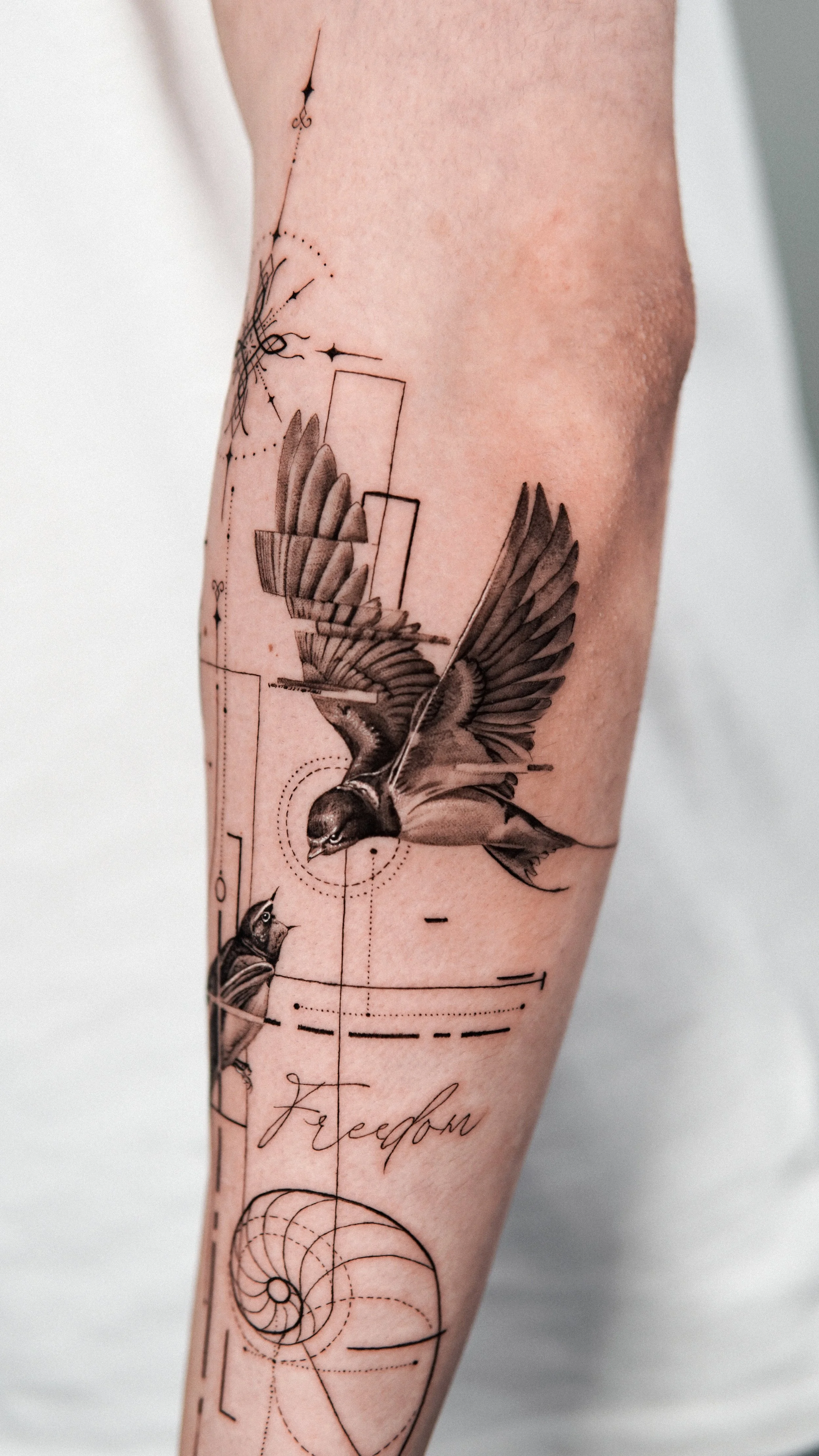 A tattoo of a bird in flight with geometric elements and the word "Freedom" on a person's arm.