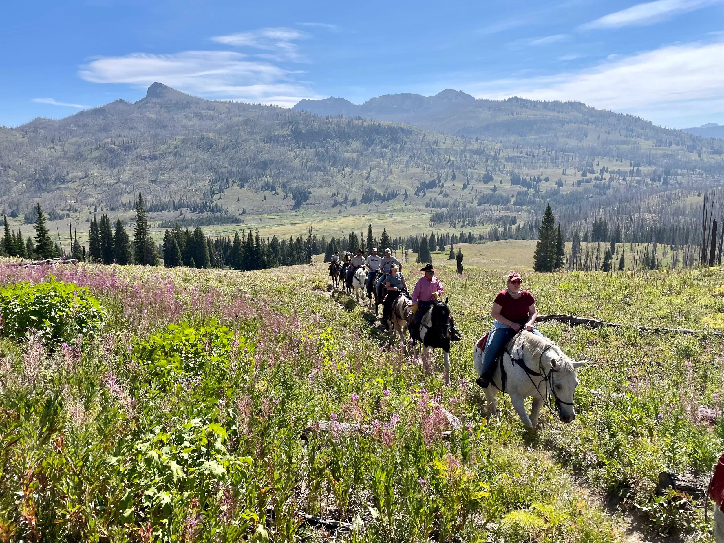 Trail Rides — Teton Trail Rides