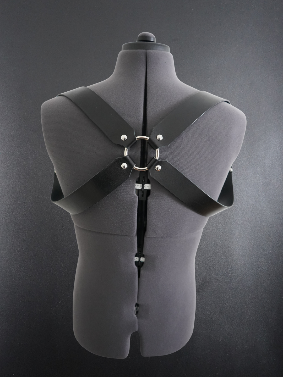 X Harness