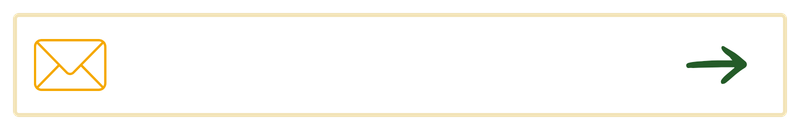 An email icon on the left and a right arrow icon on the right, within a wide rectangular button.