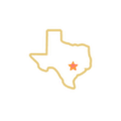 Silhouette map of Texas with a cartoon pig in the southern part of the state.