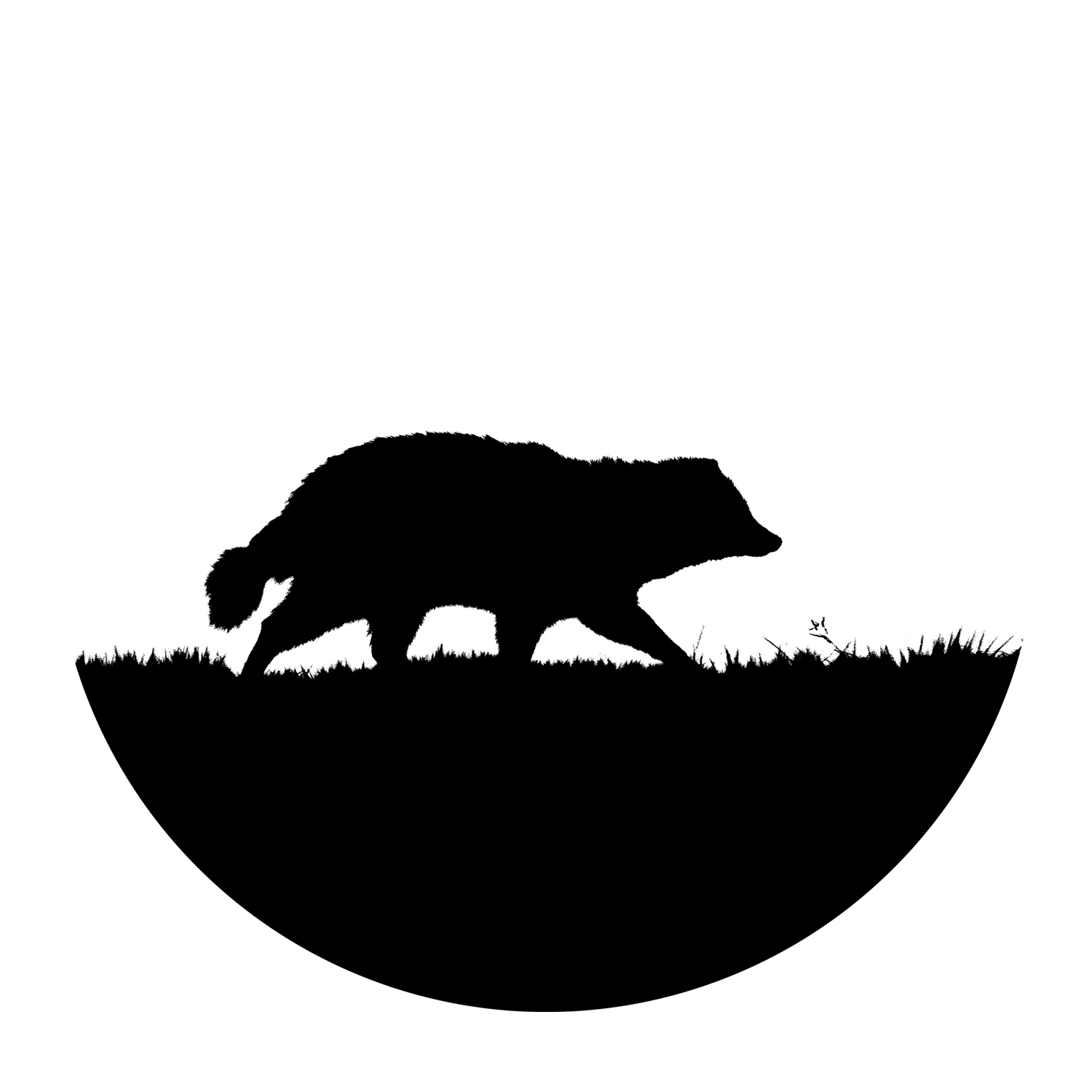 Sora Miyazawa Photography