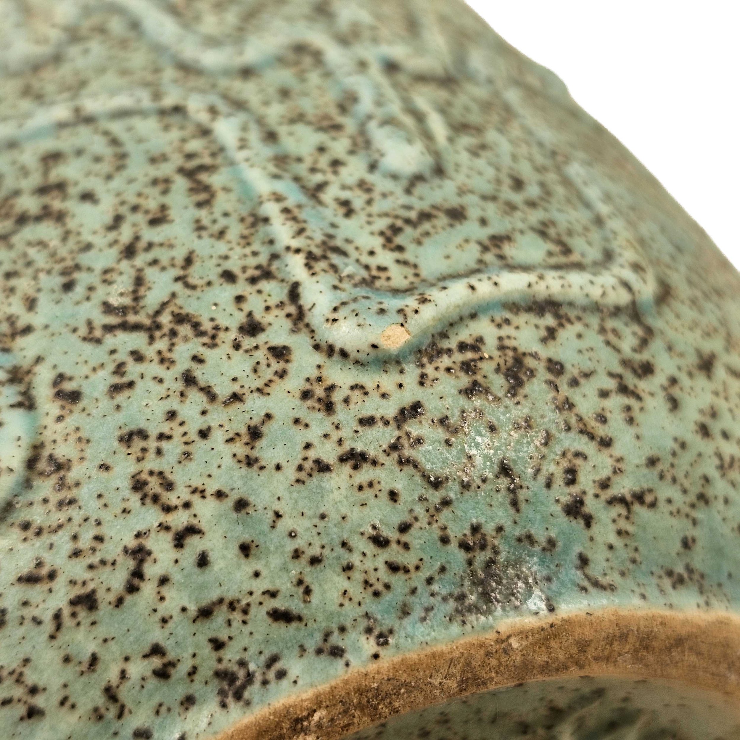 20261002_093012.jpg
