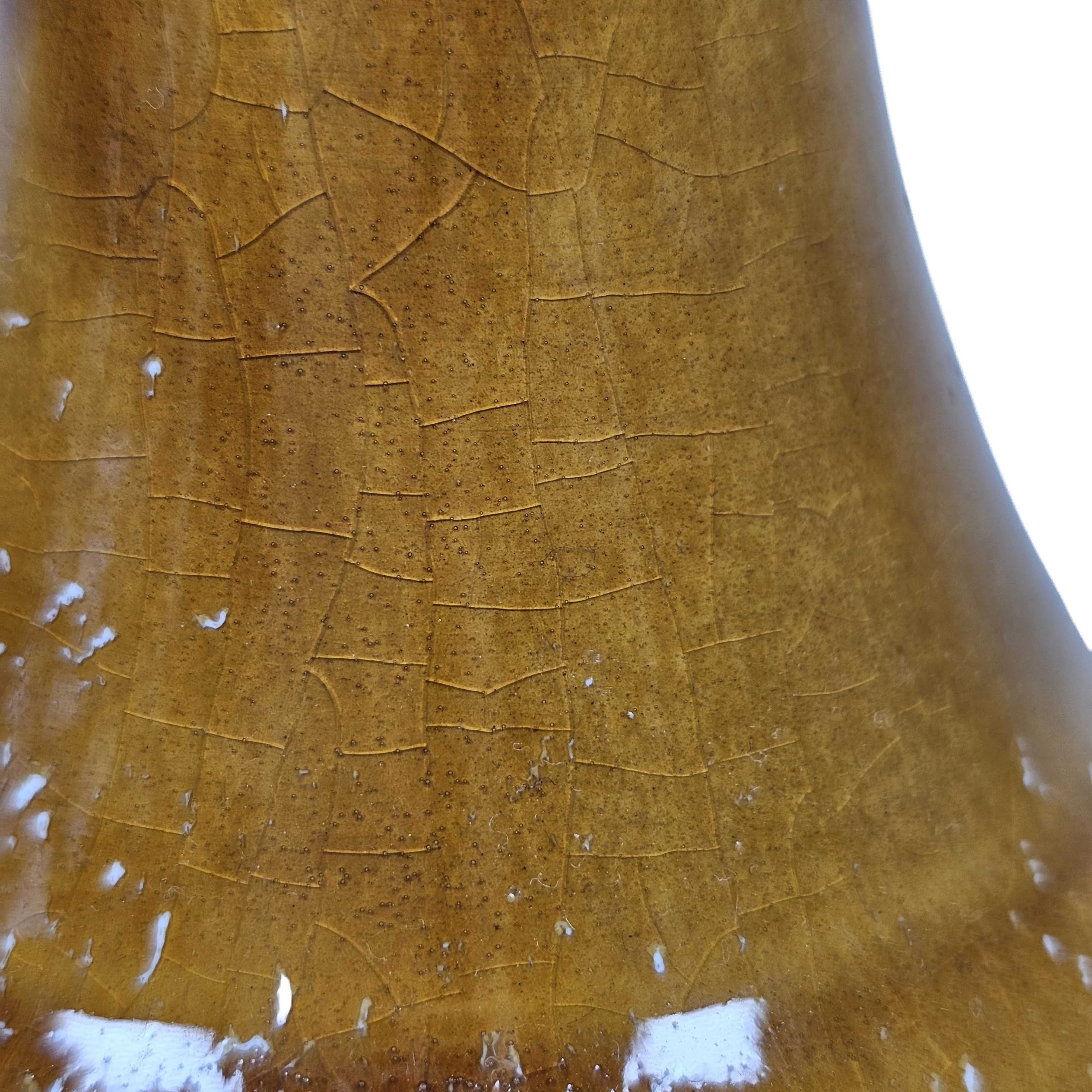 20261014_164759.jpg