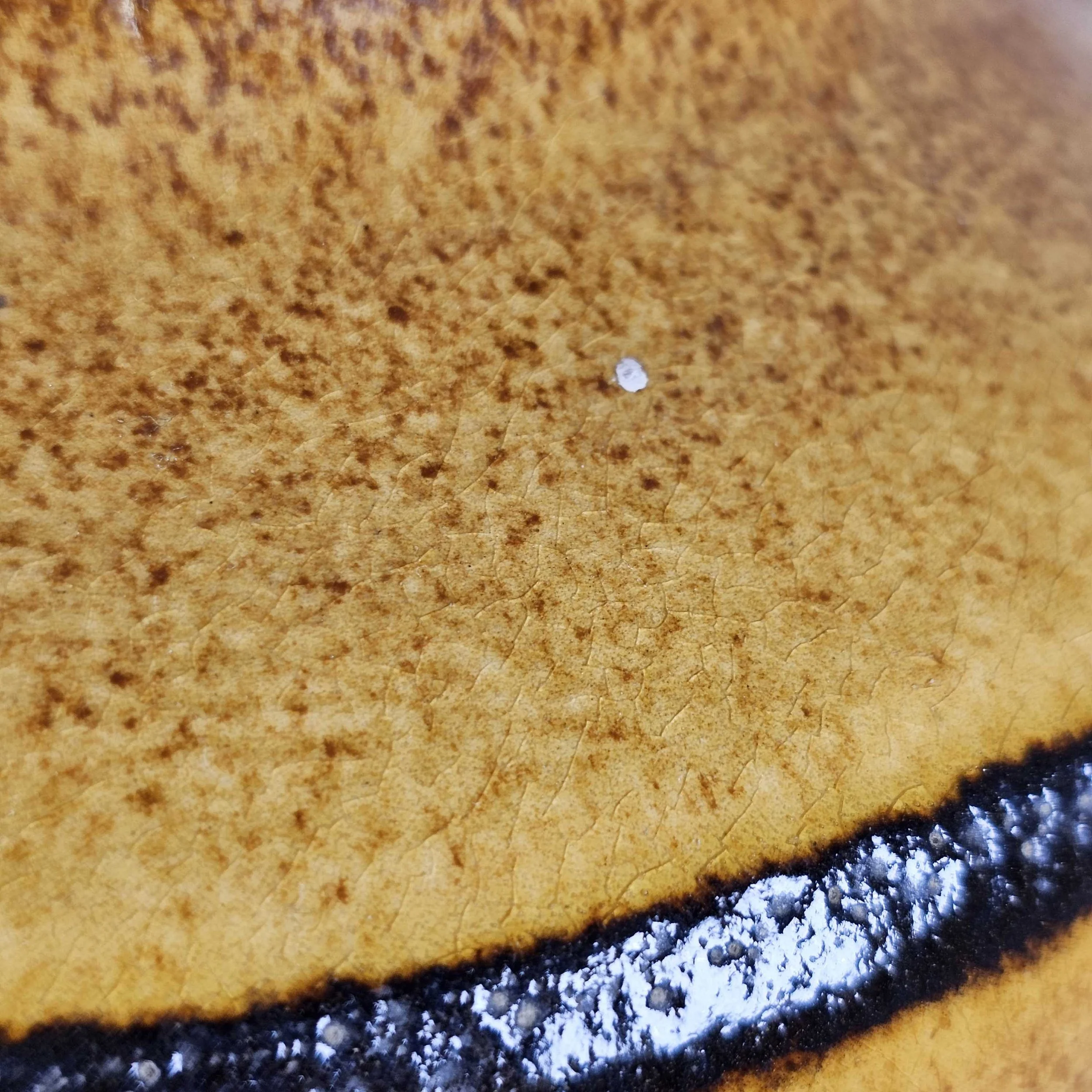 20261013_131311.jpg