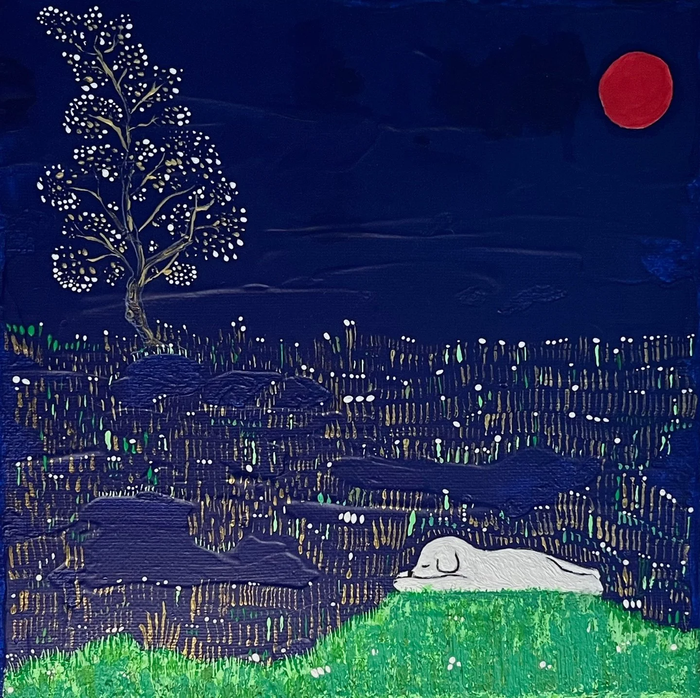 별빛들판의 꿈.jpg