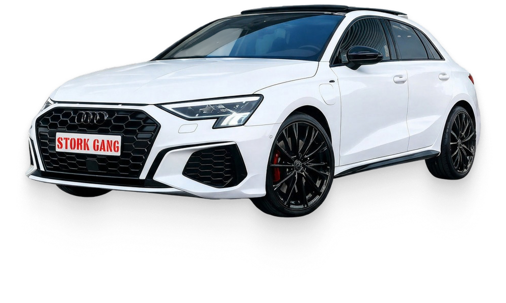 Voiture blanche de modèle sportif, avec jantes noires, portant une plaque d'immatriculation personnalisée 'STORK GANG'.