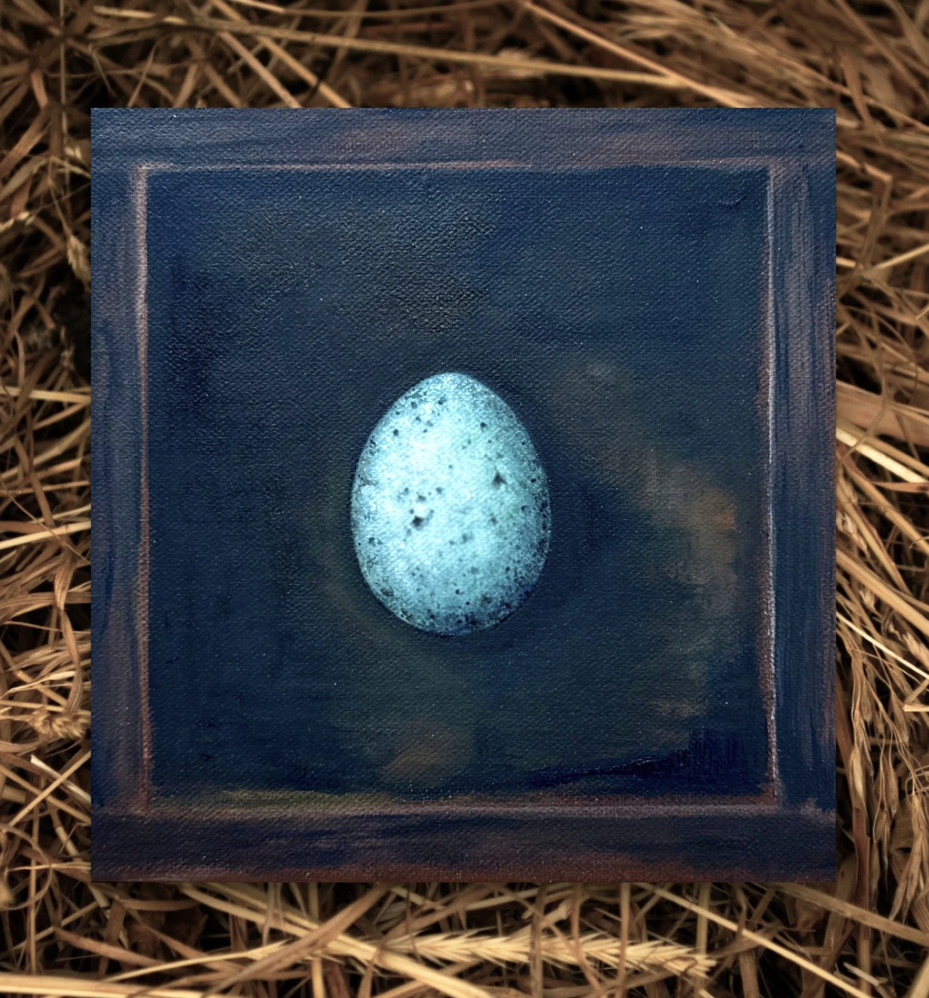 A Blue(s) Duck Egg "Trompe-l'œil"