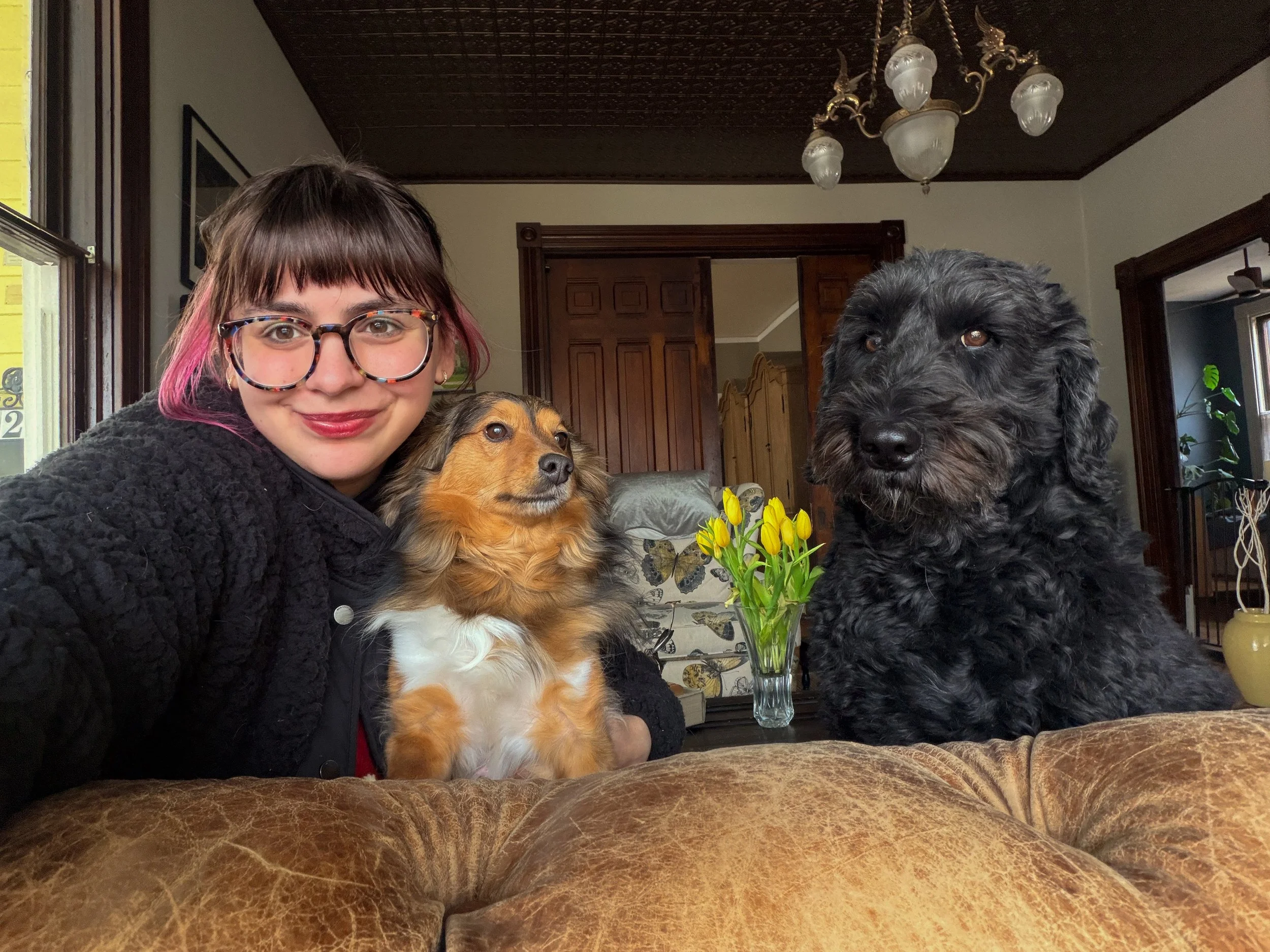 A young woman with glasses and pink-tipped hair takes a selfie with two dogs on a couch in a living room. There is a vase with yellow tulips on a table behind her, and a chandelier hanging from the ceiling.