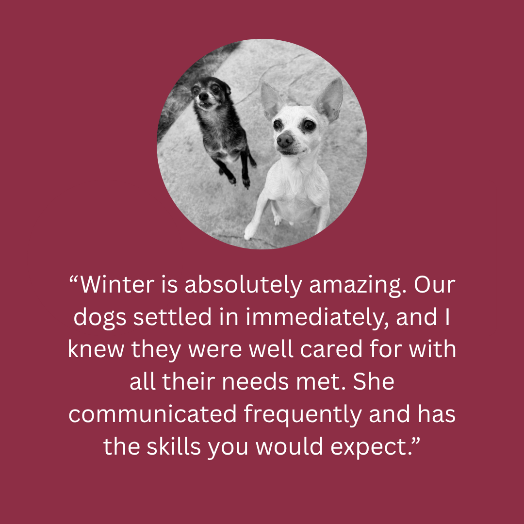 Image of two small dogs, one black and white and the other tan, sitting on a concrete surface, with a quote about dogs and winter below.