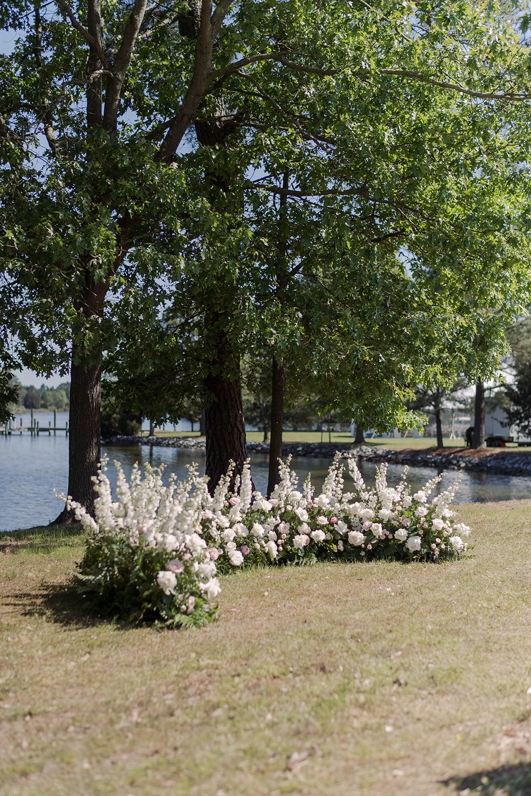 Afshar Sneaks-056199.jpg