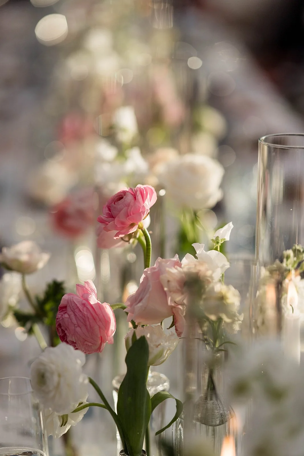 Afshar Sneaks-057684.jpg