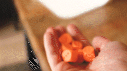 Donderstenen_worp_visual.gif