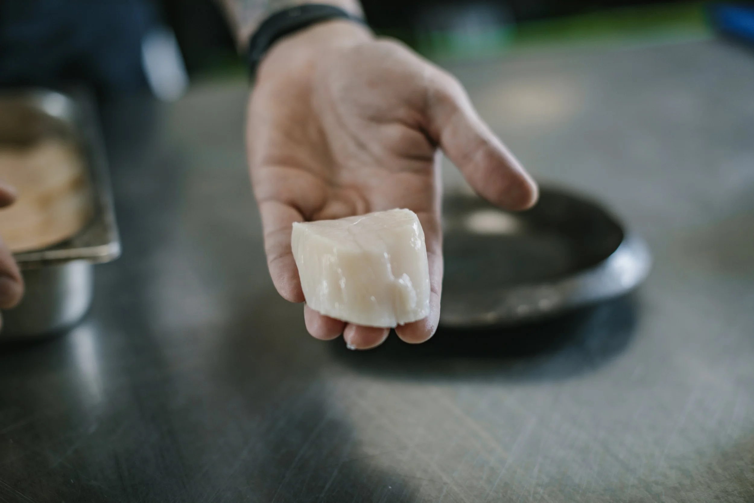 fresh scallop that has just been prepared