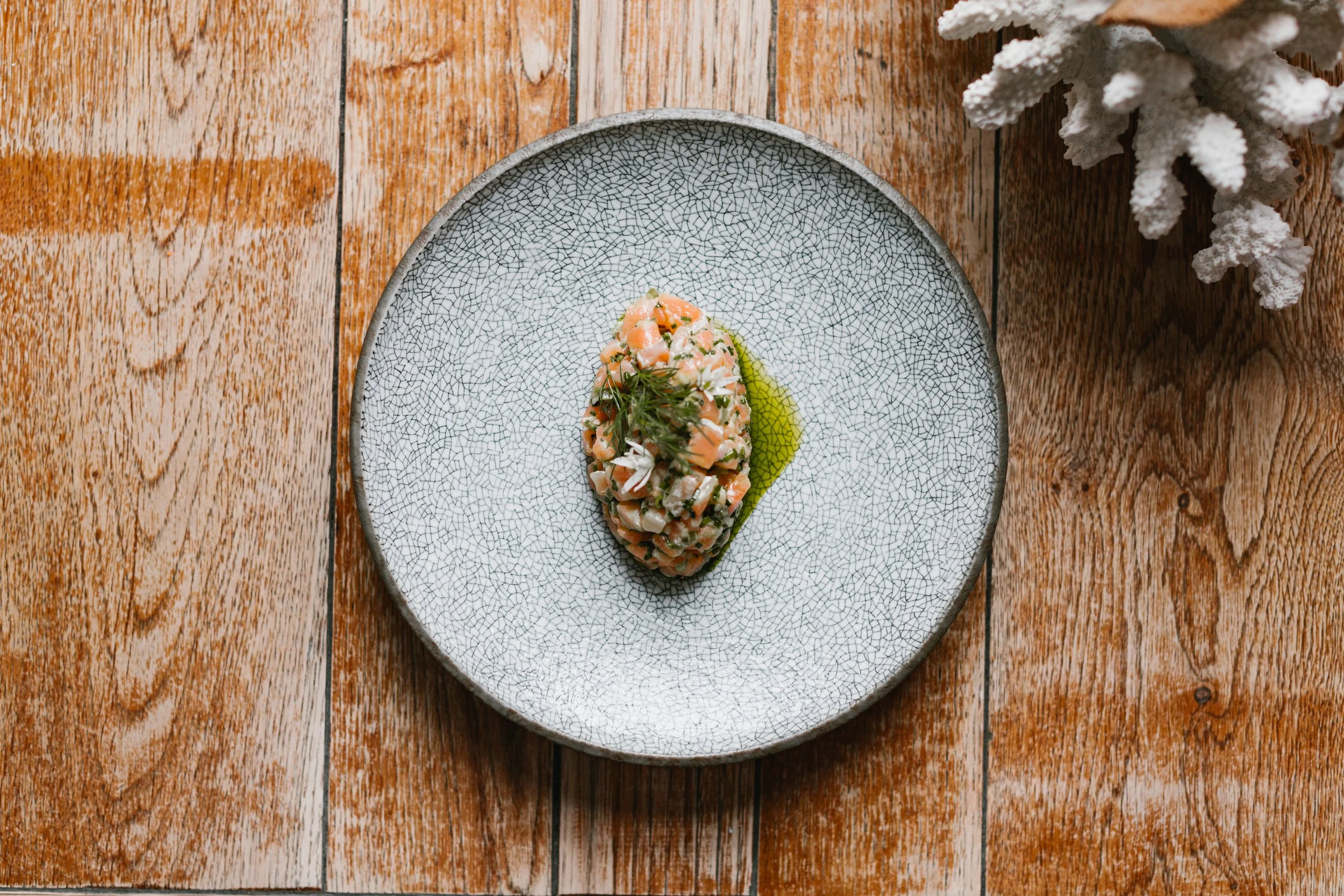 trout tartare with a herb oil