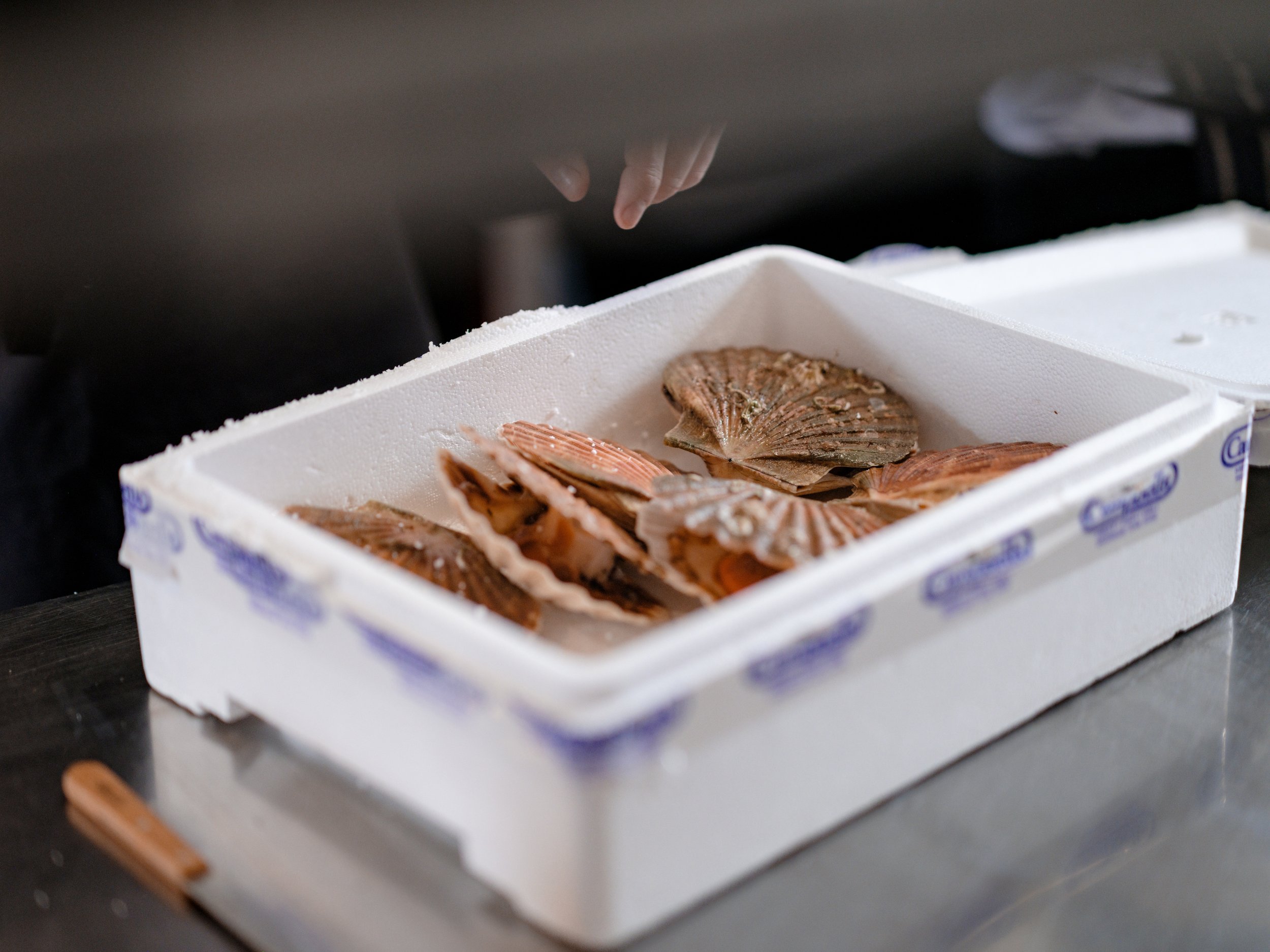 a box of scallops
