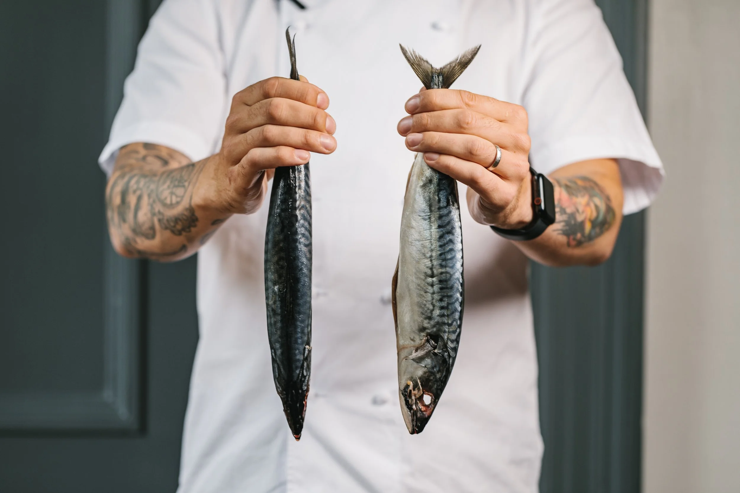 seasonal ingredients - a chef holding two fish
