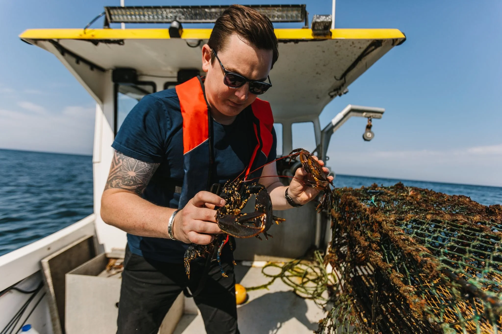 Seven reasons why Scottish seafood is so sustainable