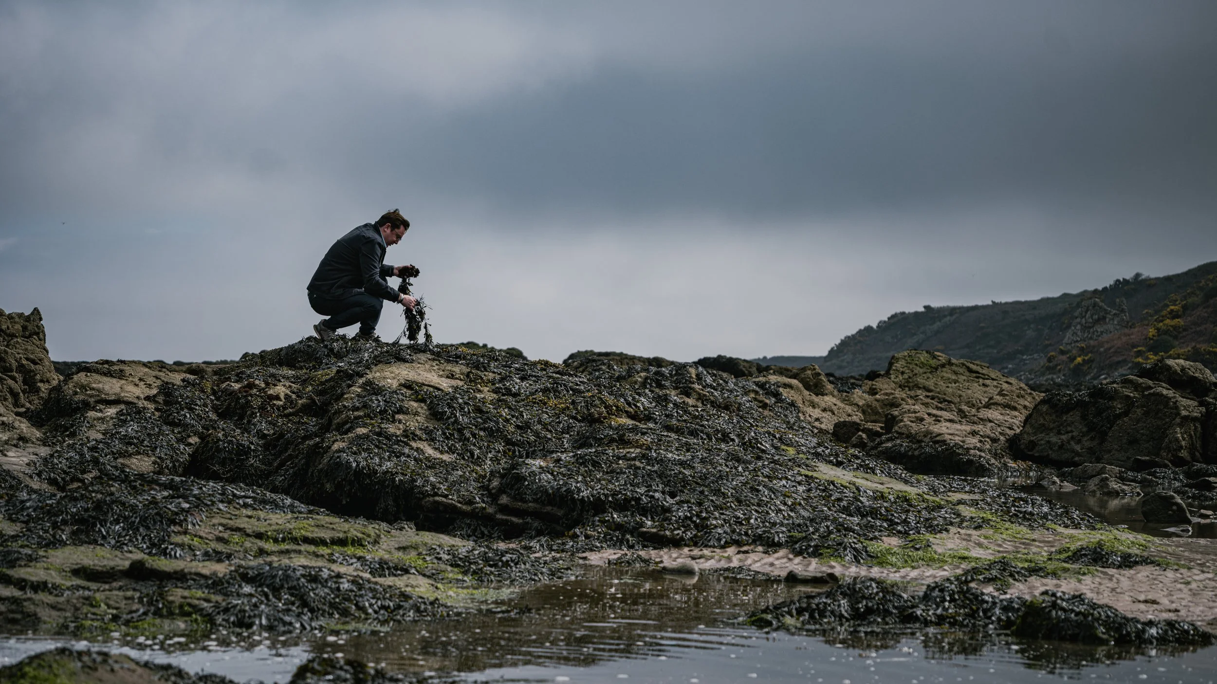 Chef Dean Banks foraging seaweed