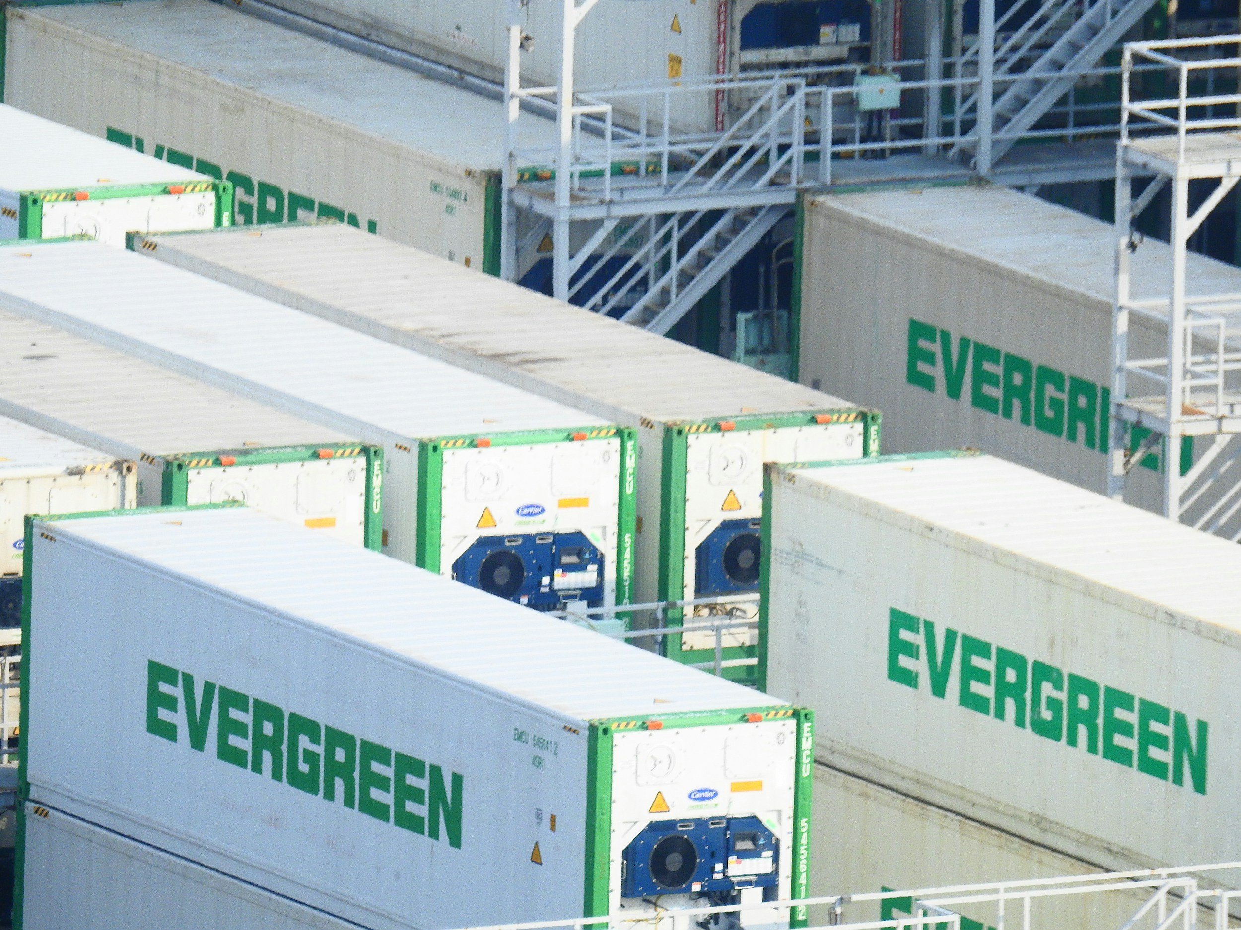 Multiple refrigerated containers with the Evergreen logo, stacked in a shipping yard, ready for drayage provider.