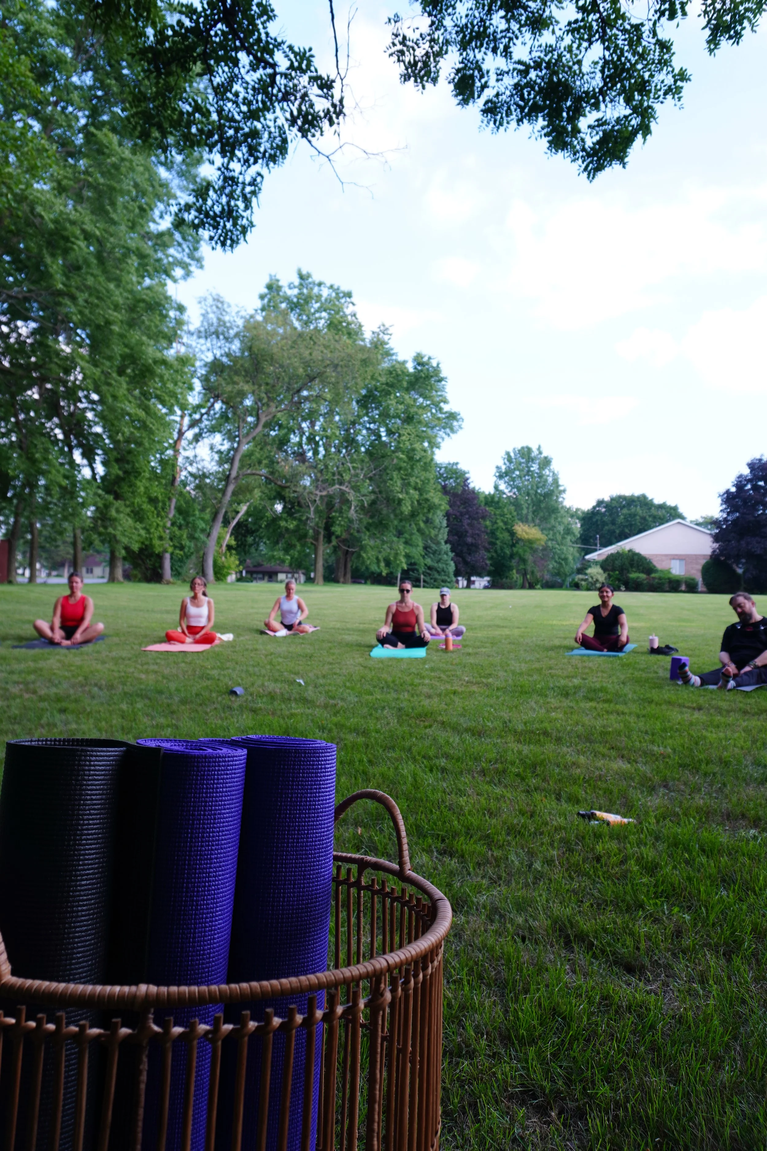 Group of six women practicing outdoor yoga on green grass in a park, sitting cross-legged on yoga mats under trees on a clear day.