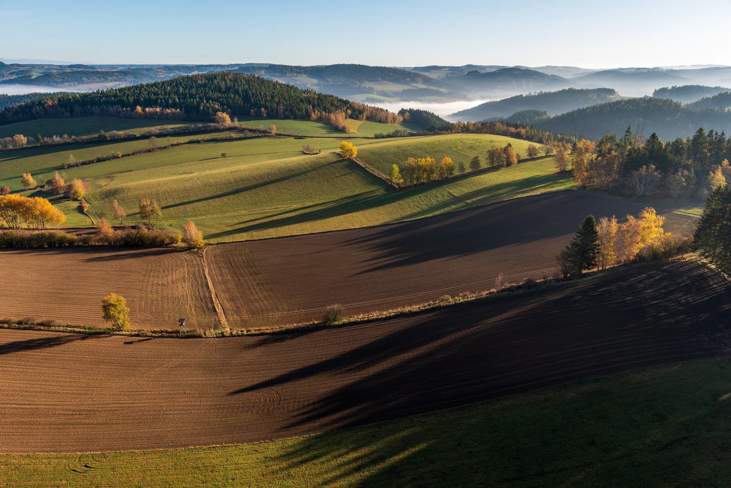 Scenic landscape of rolling hills with fields, trees, and forests under a clear sky, with shadows cast across the land.