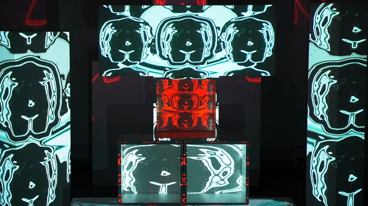 C0036T01.jpg