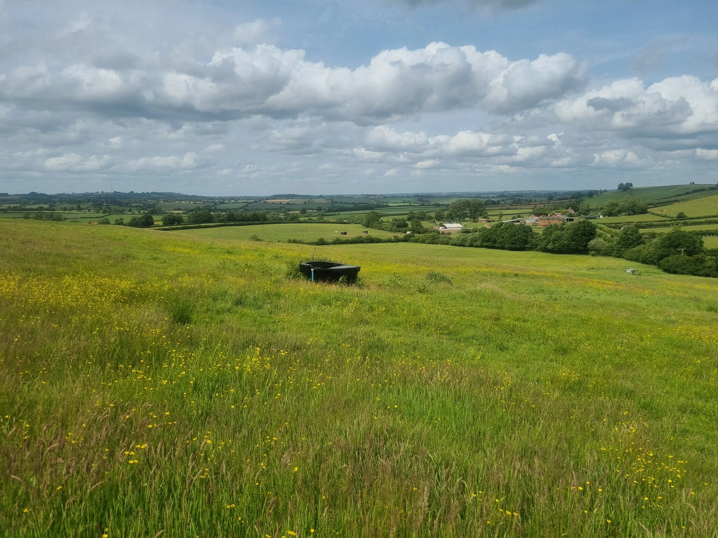 Wood Farm3.jpg
