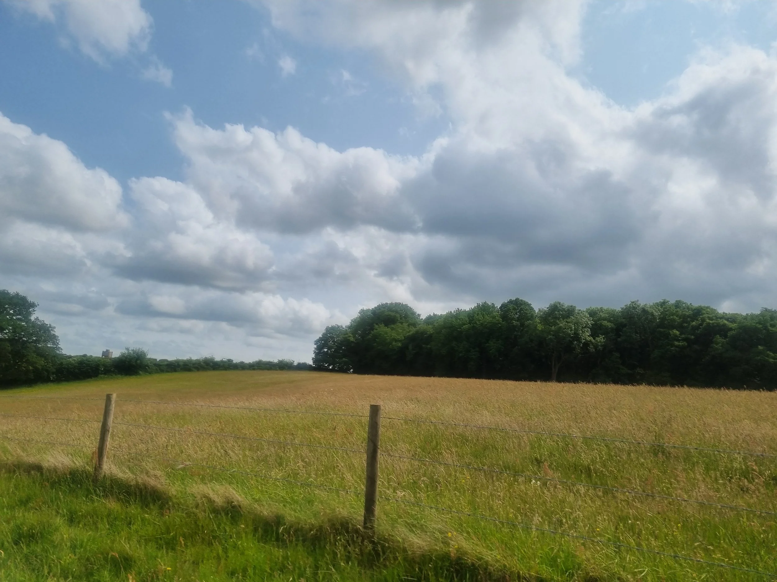 Wood Farm4.jpg