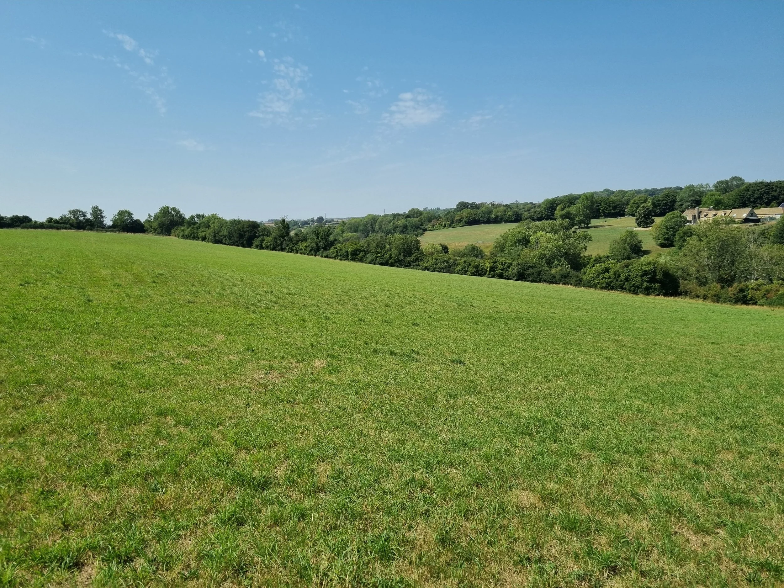 Wilts1.jpg