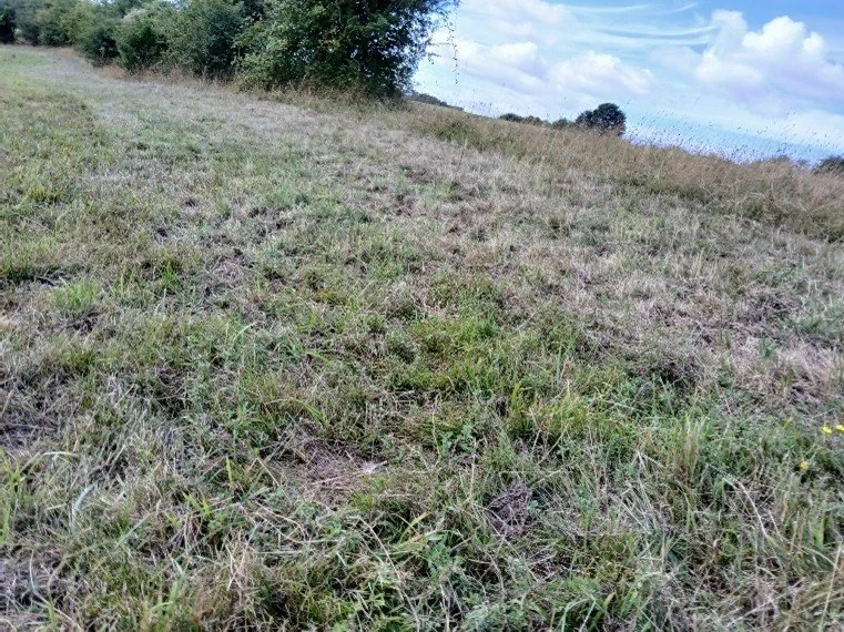 Holtspur site photo 2.jpg