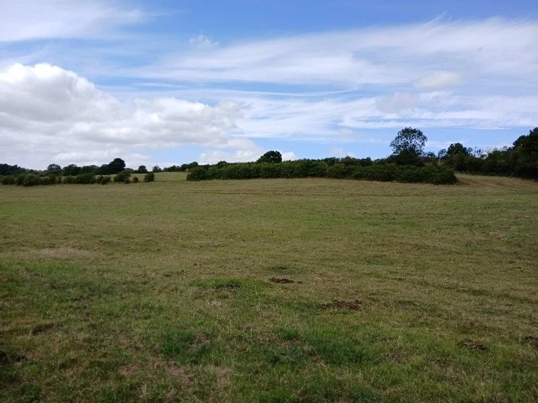Holtspur site photo 4.jpg