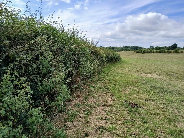 Holtspur site photo 7.jpg