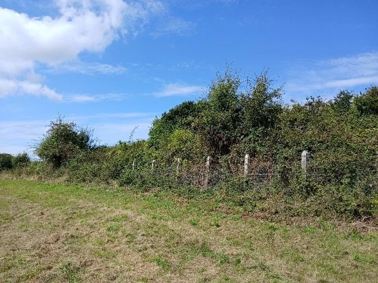 Holtspur site photo 10.jpg