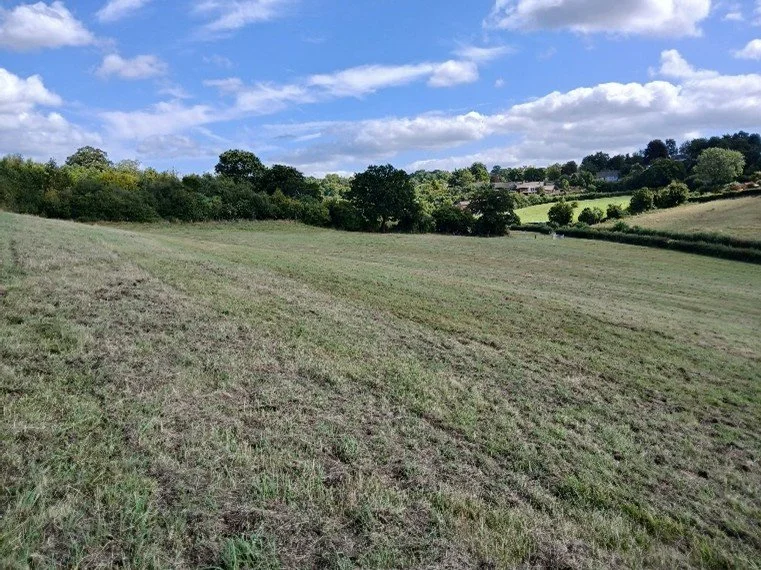 Holtspur Farm | BNG Units in Buckinghamshire
