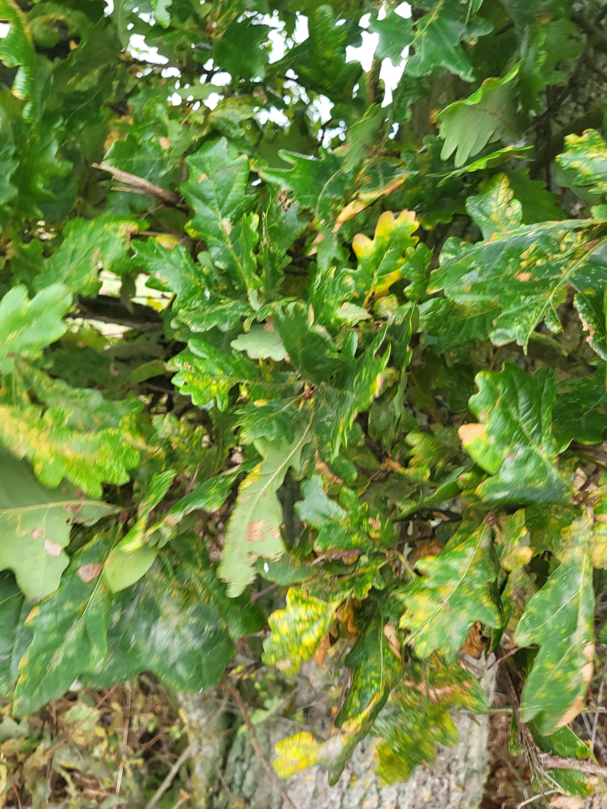20250918_120847.jpg