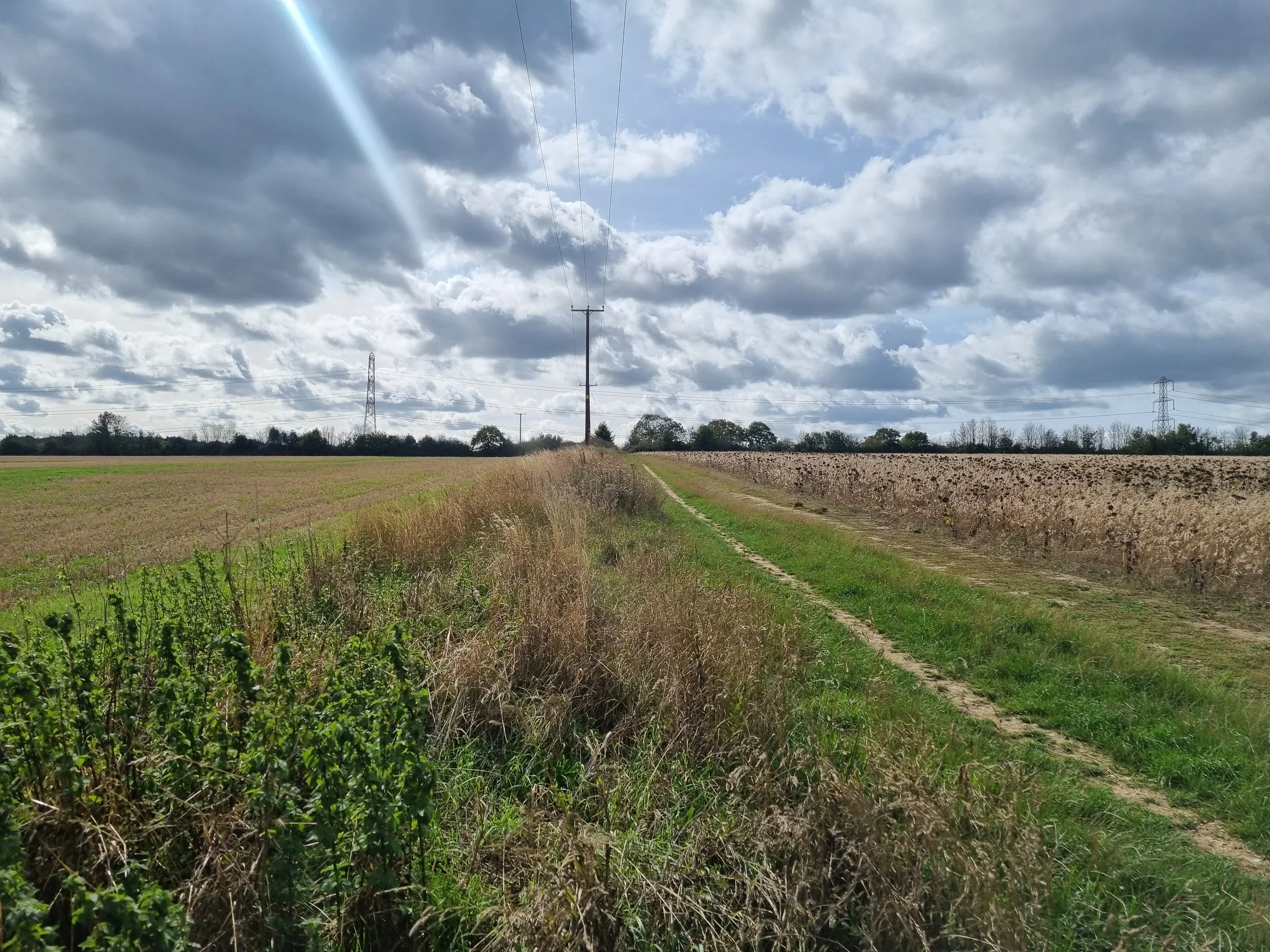 Cotton Spring Farm 