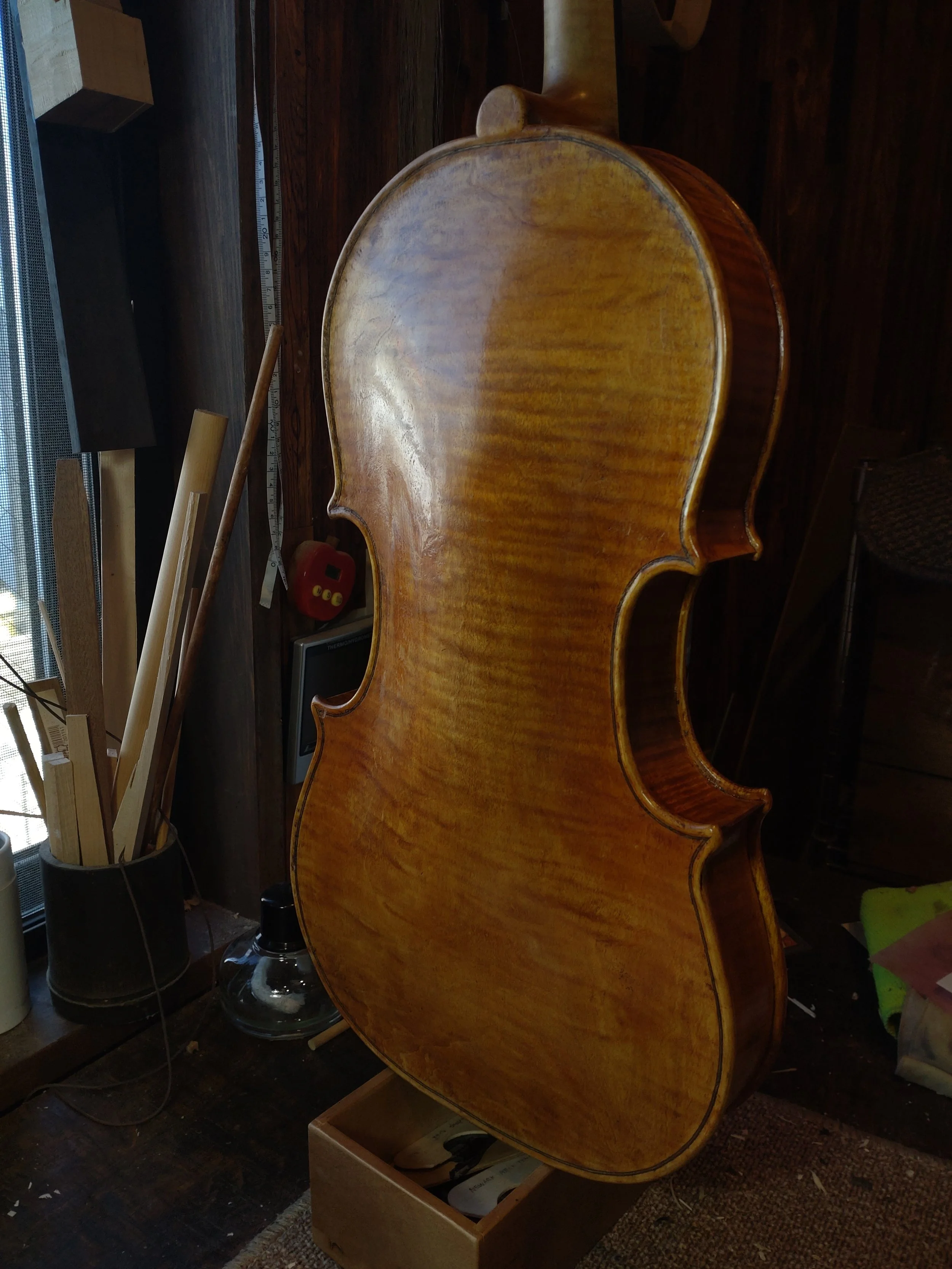 Why Did the Violin Stop Thinking?