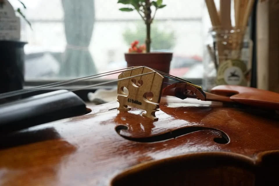 製作した楽器の弦を調整している様子と周囲の植物や道具が見える室内の風景.