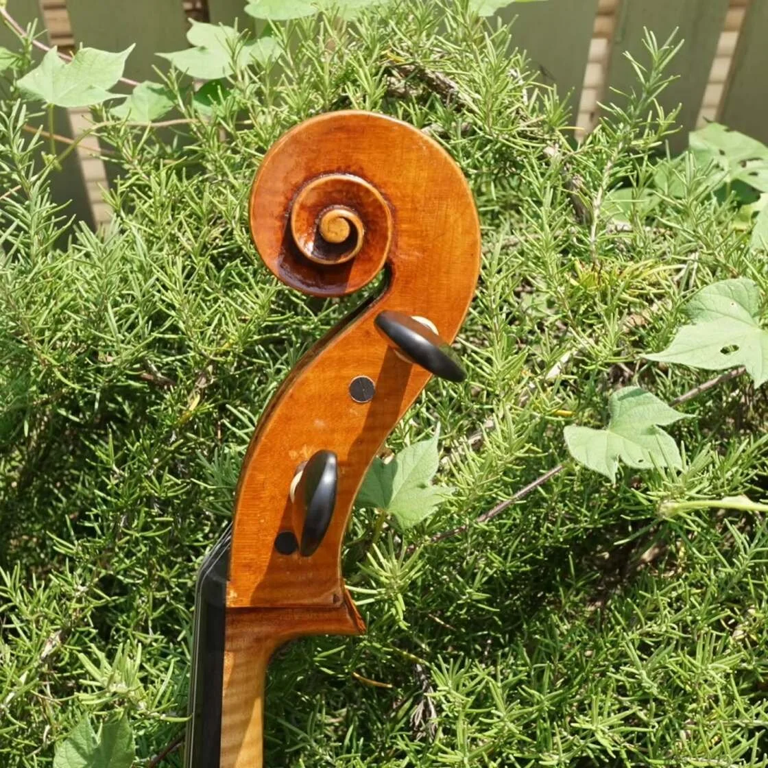 Joseph Guarneri 2025