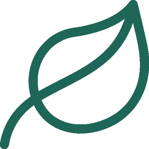 Line drawing of a single leaf with a prominent central vein.