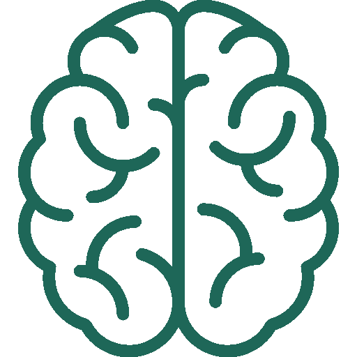 Line drawing of a human brain in teal outline