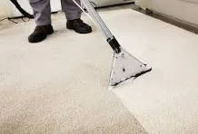 Person cleaning carpet with a carpet cleaning machine.