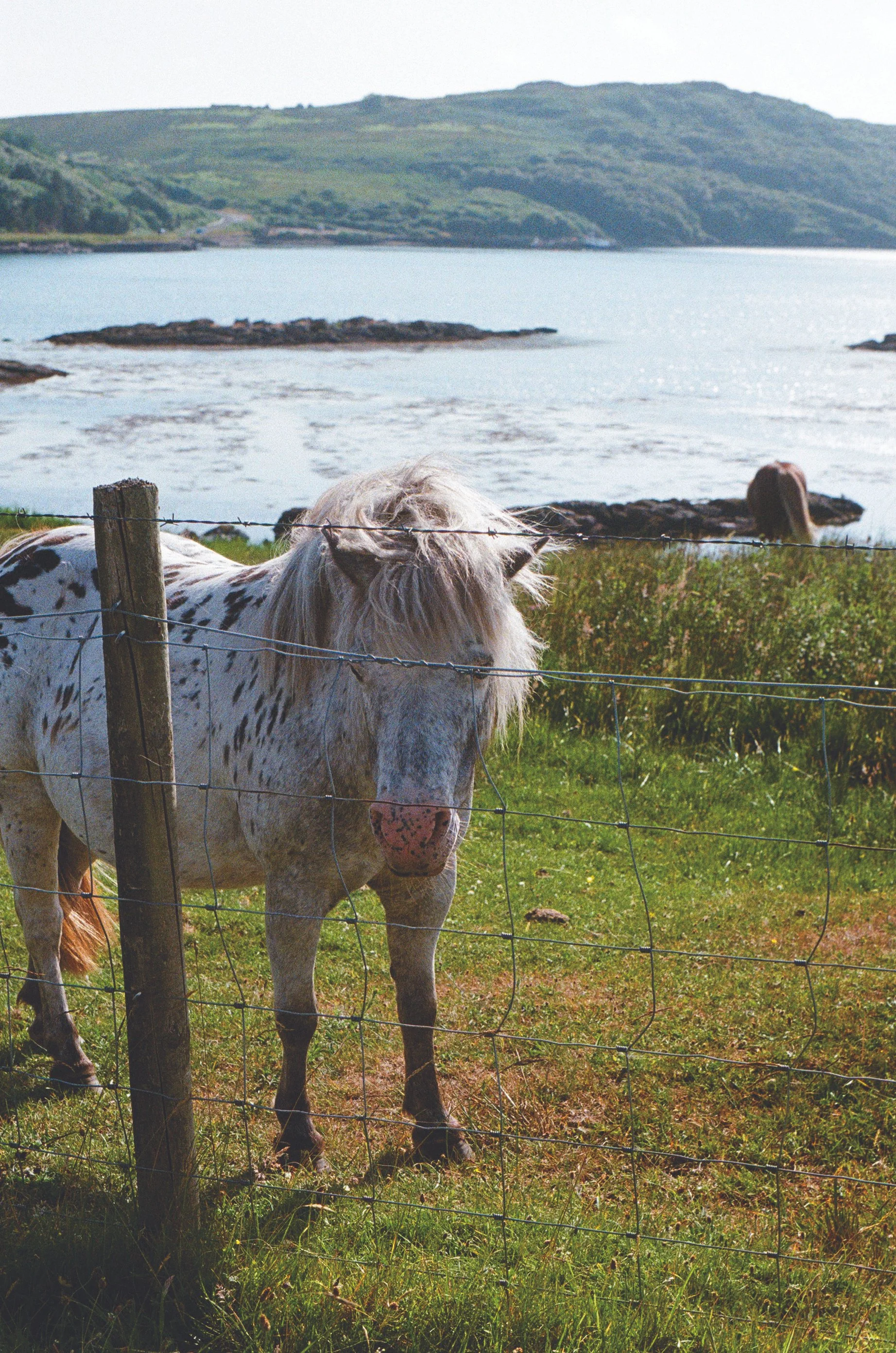 mull - cmyk, 35mm.jpg
