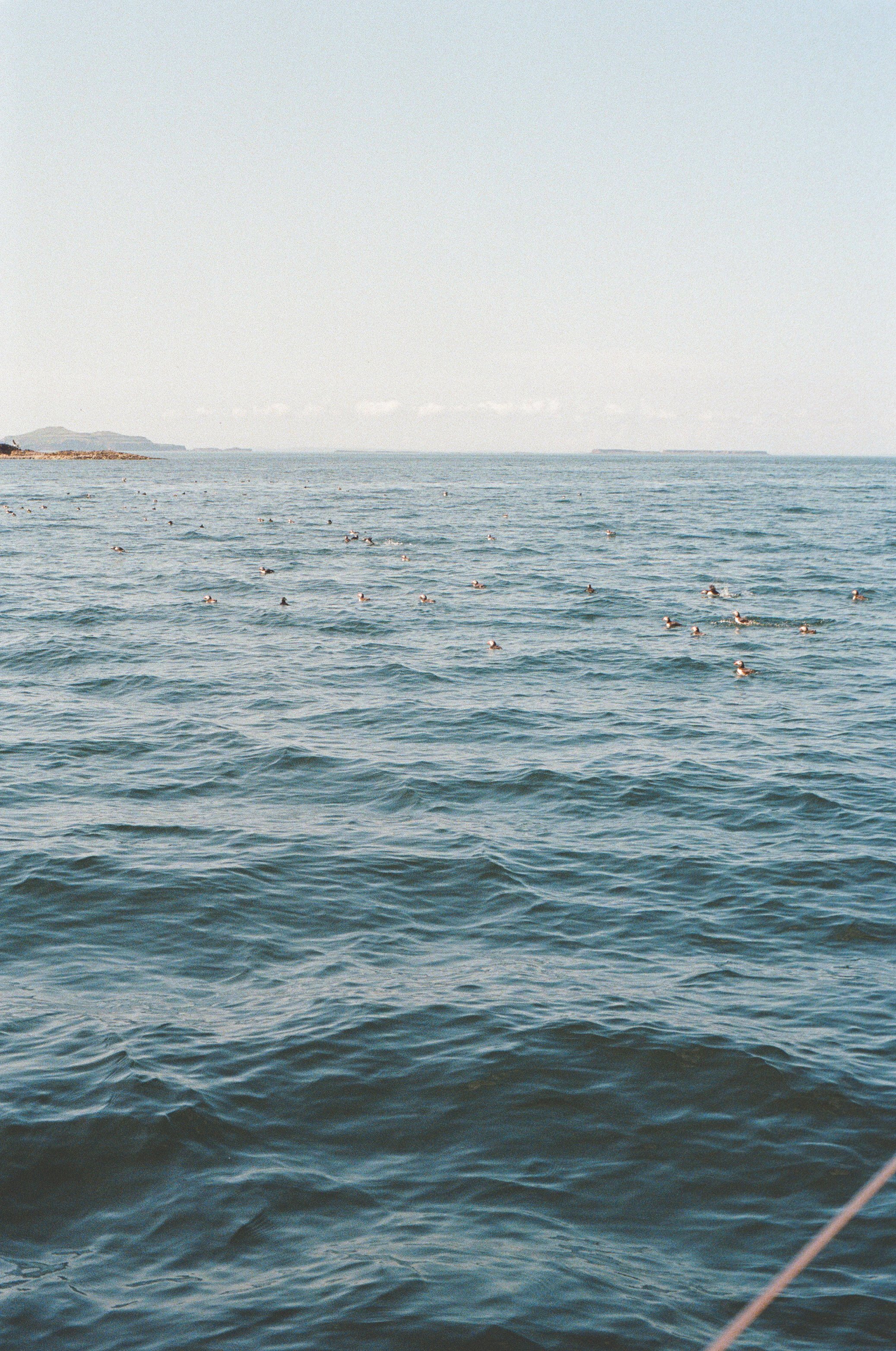 somewhere at sea near staff, cmyk, 35mm.jpg