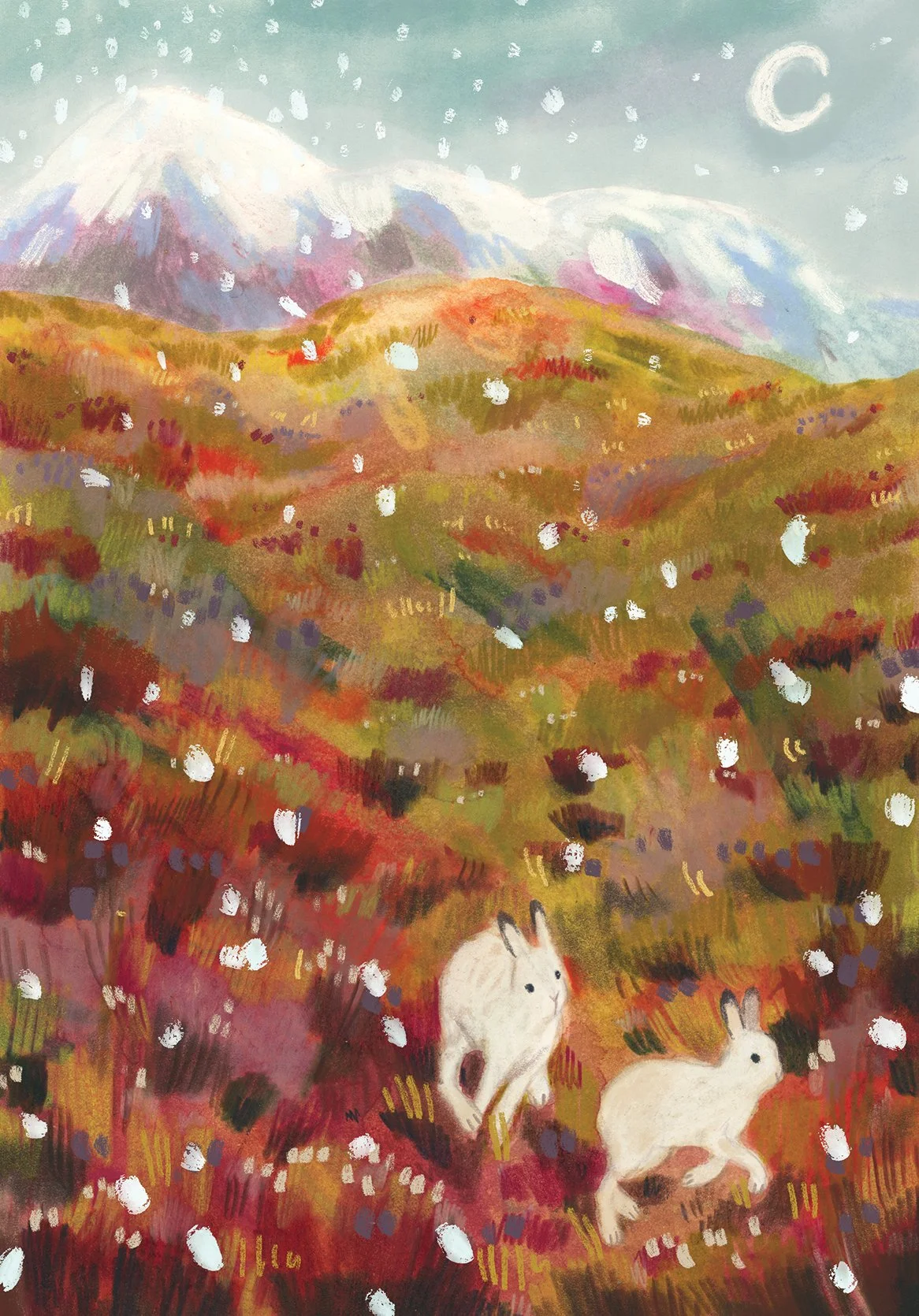 mountainhares-a4 copy.jpg