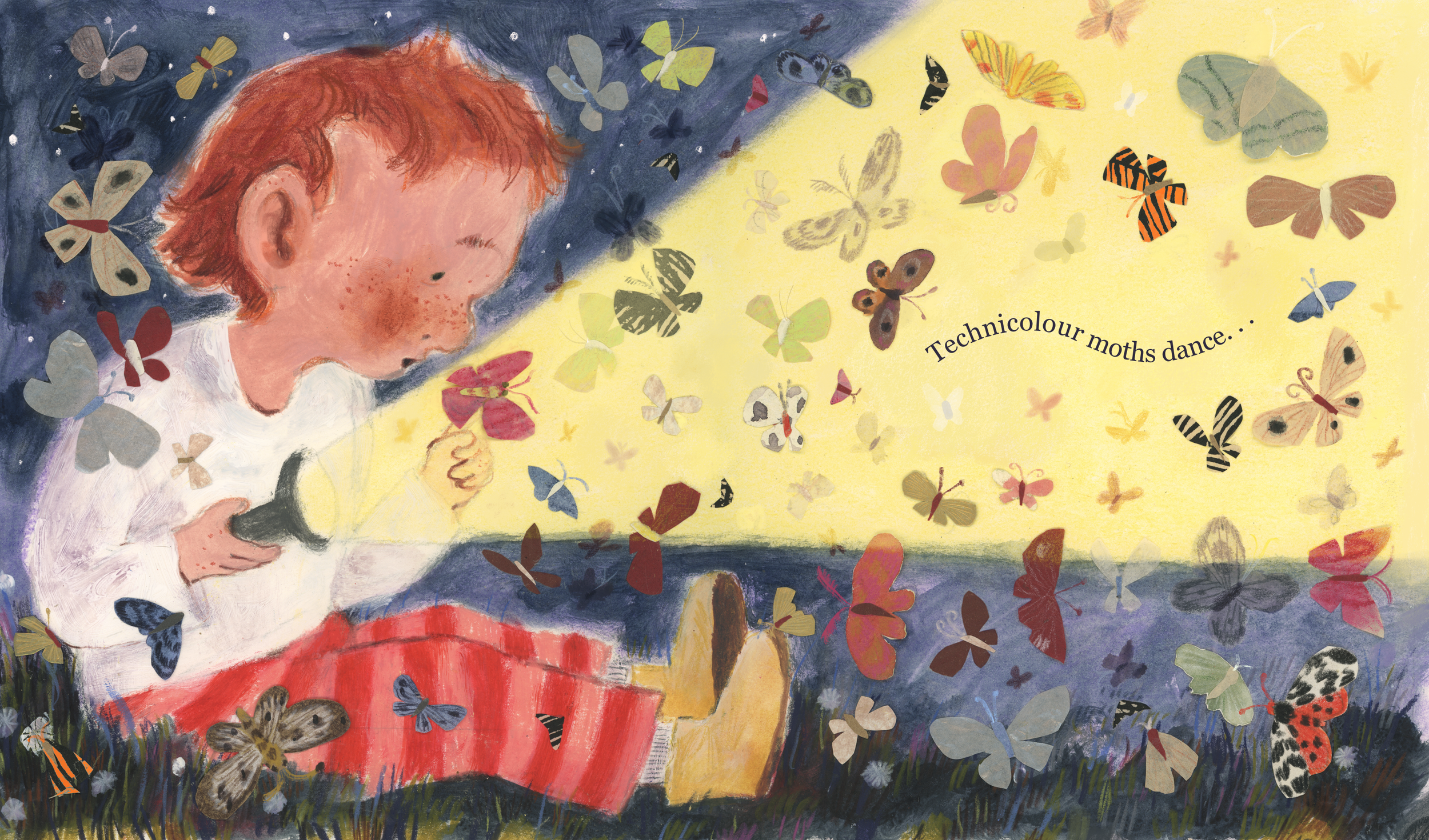 Unpublished story - Northern Lights
