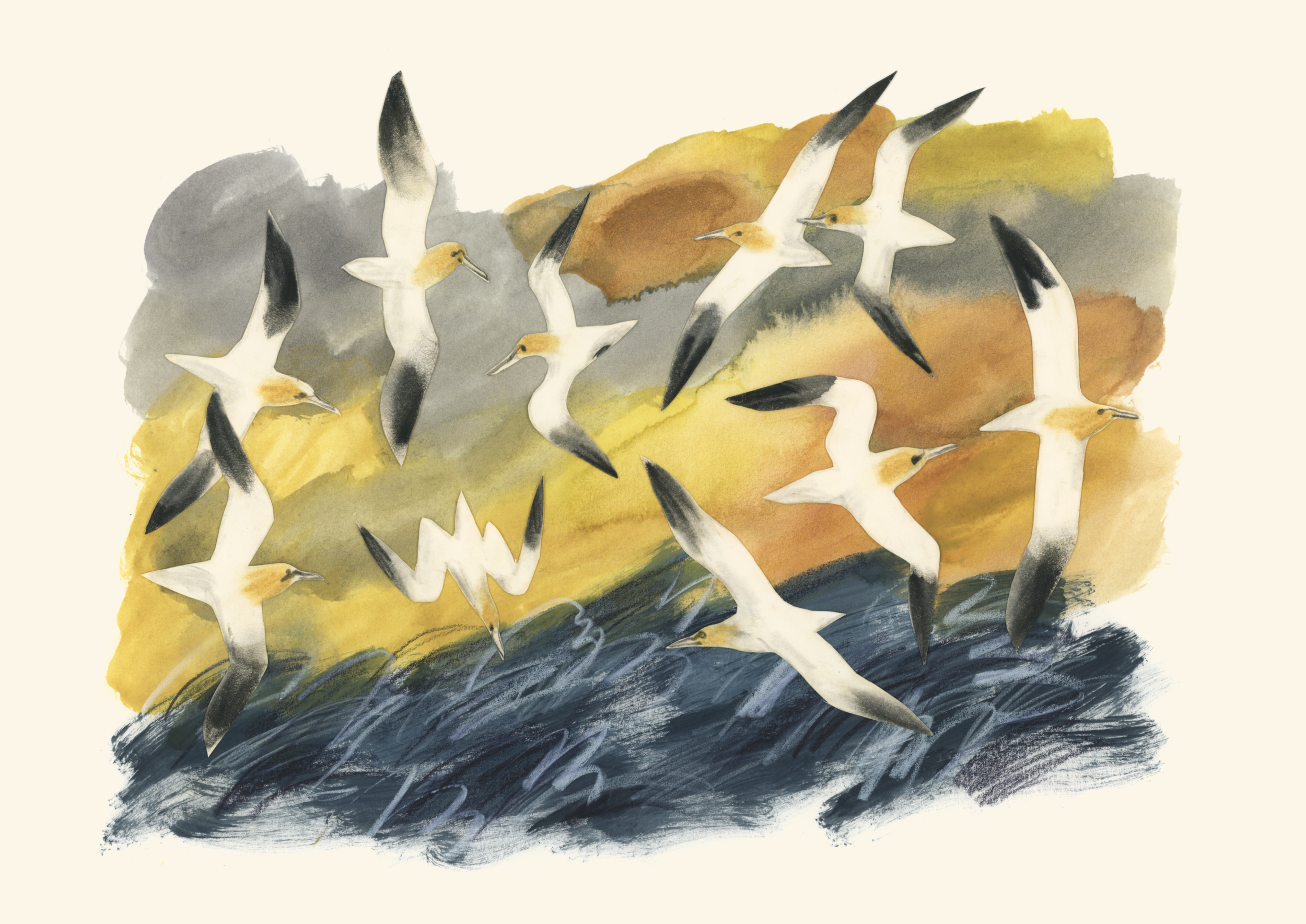 Reeling gannets.png