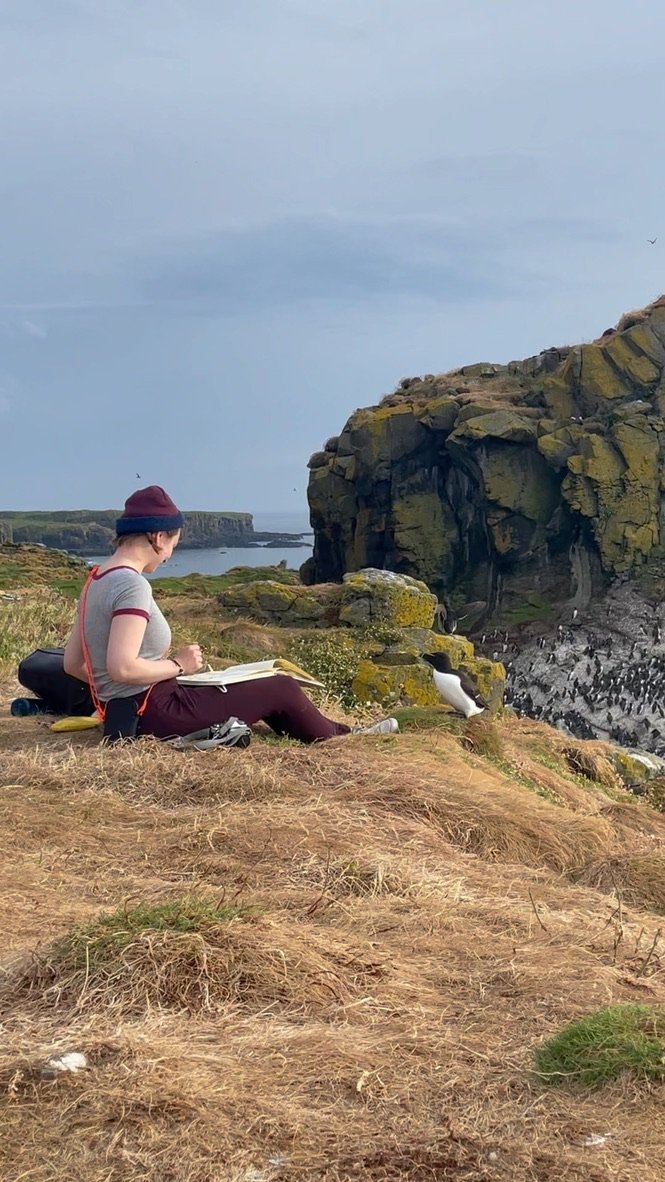 A woman sitting on grassy terrain near a rocky cliff, writing in a notebook with a penguin nearby, under a cloudy sky.