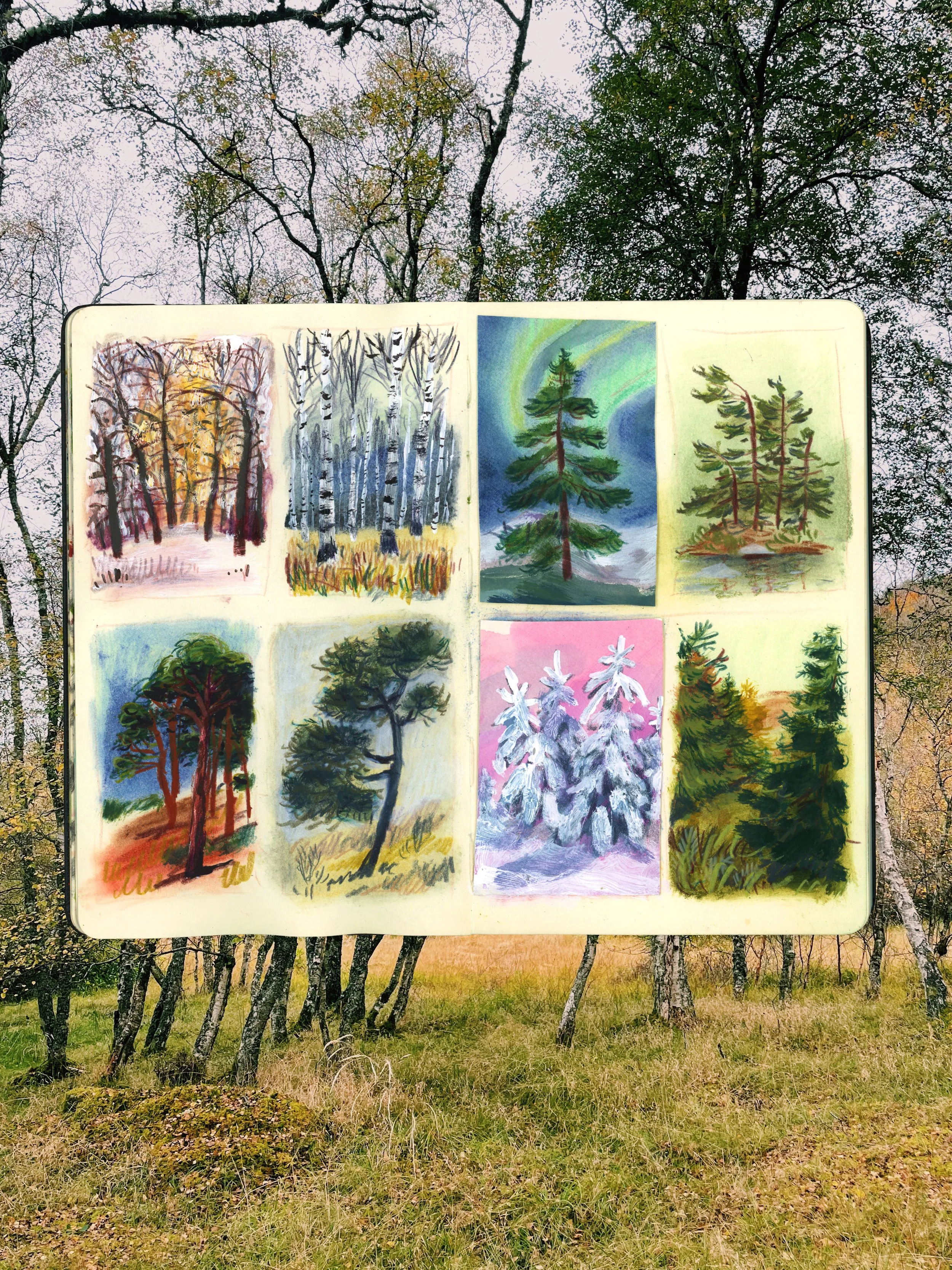 A sketchbook with watercolor paintings of trees, displayed outdoors in front of a forest with bare trees and grassy ground.